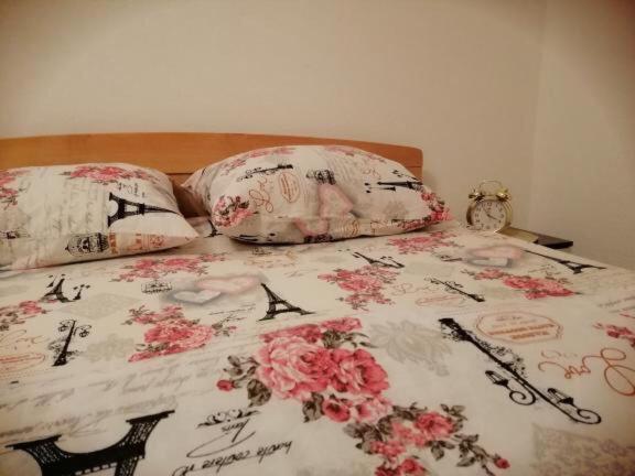 Apartment Nikitovic Žabljak Kültér fotó
